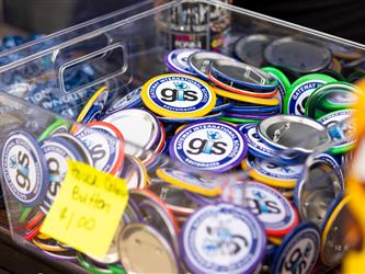 gis pins in tub 